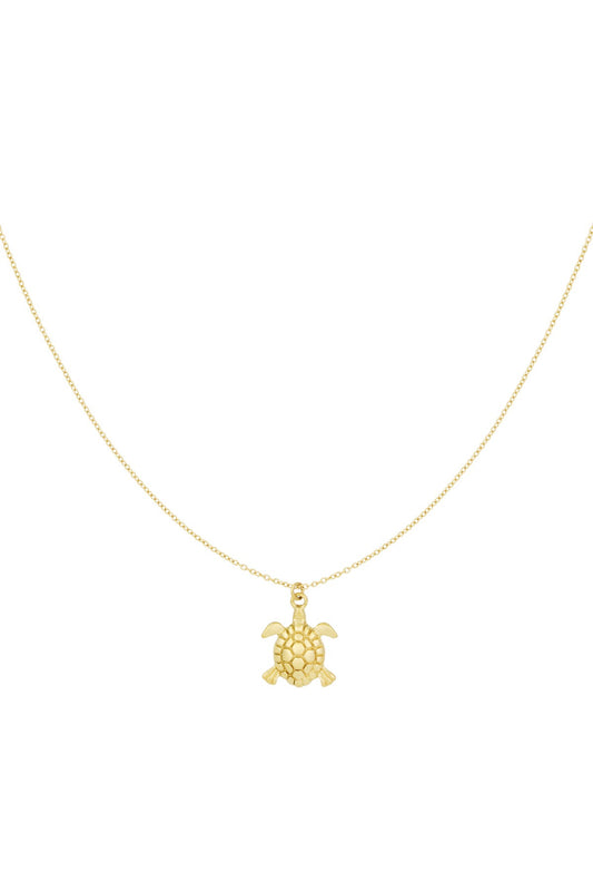 Turtle tides ketting